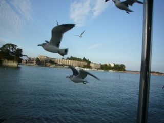 ��䗷�s�@���̂U