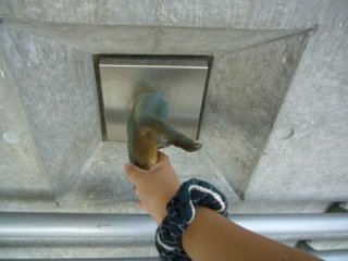 ��䗷�s�@���̂P�T