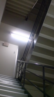 �����V�C