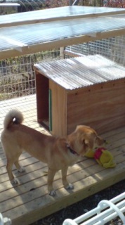 ���h�Ȍ�����