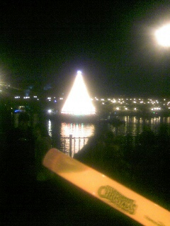 �X�^�[�̒a����