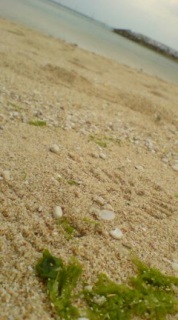 ���邾���Ȃ�