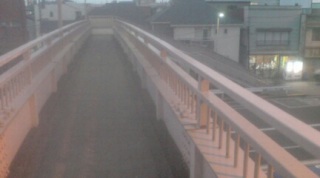 �葱���Ȉ�T��