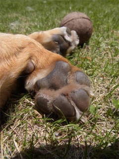 �����܂����A���ݑ�