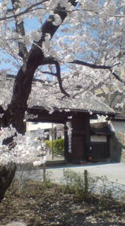 �A�x�̎g����