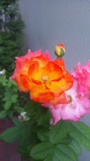 ����҂���