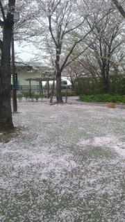 �����O�~