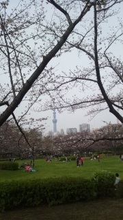 ���]��������