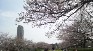 ���]��������2