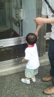 ���R������