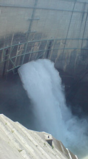 �_���E�Ȃ₷�݂R