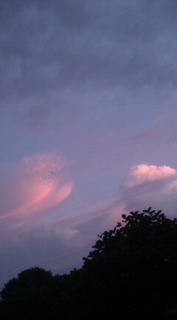 �[�Ă��E�Ȃ₷�݂U