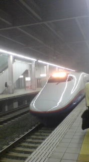 �V�����E�Ȃ₷�݂Q�R