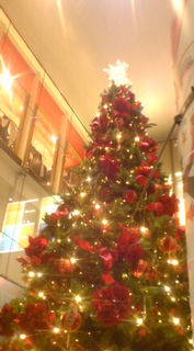 �N���X�}�X�c���[�̓�