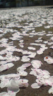 �����̋���