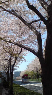 �����x��